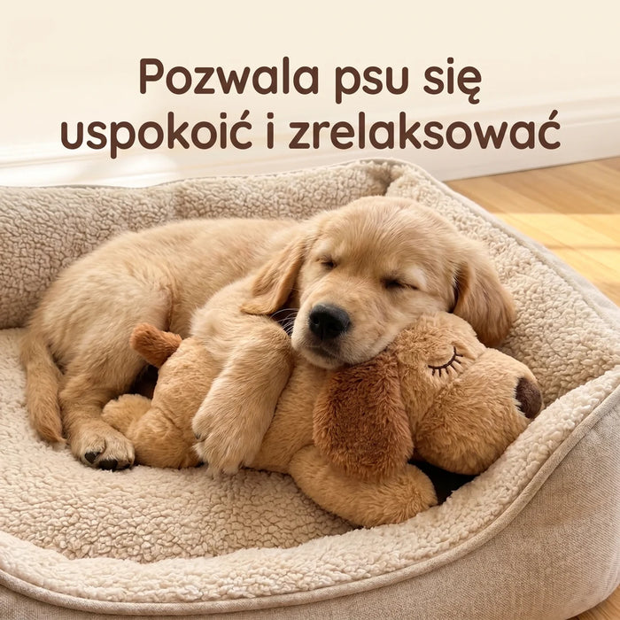 Włóż baterie