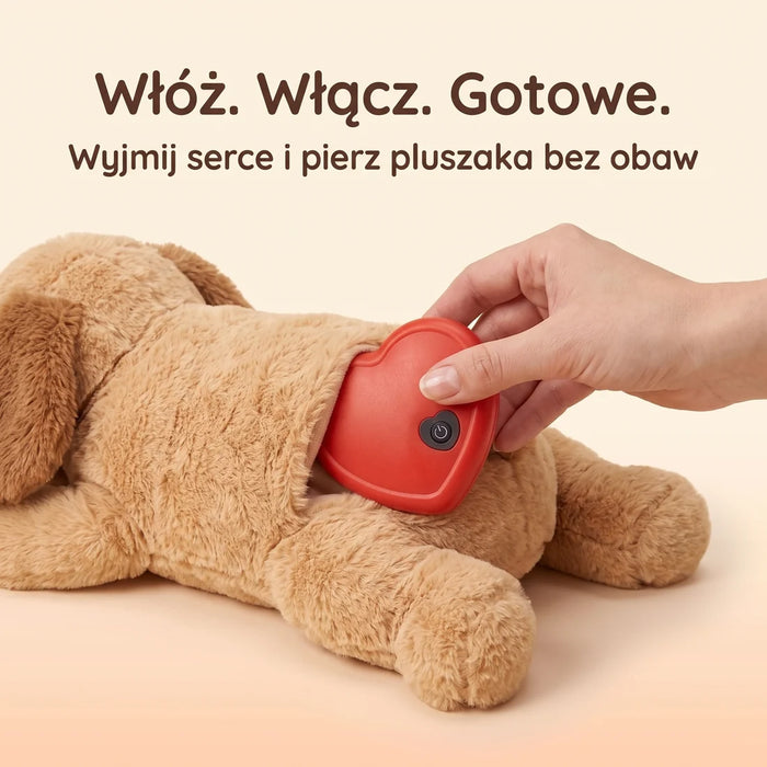 Obserwuj efekt