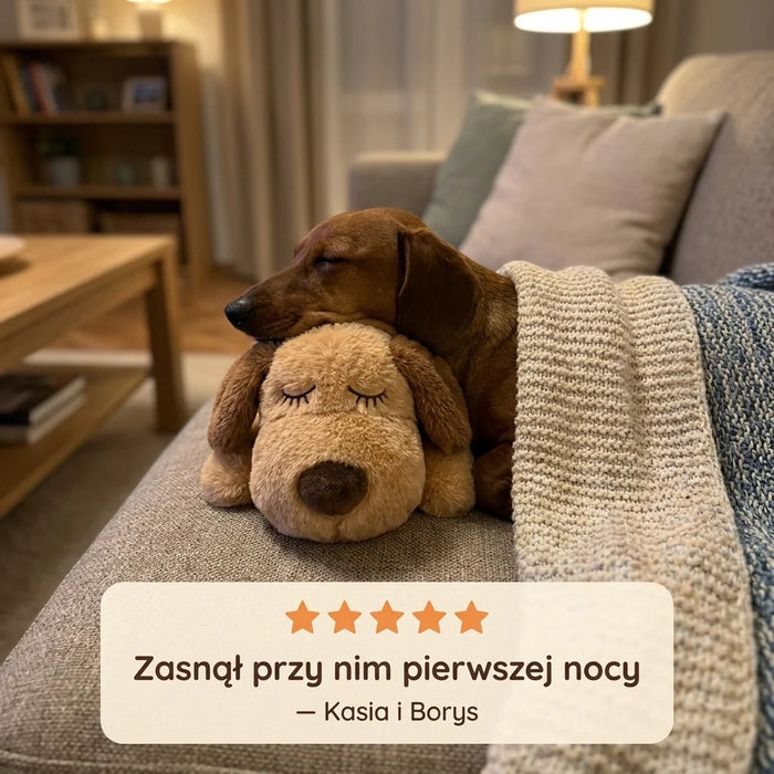 Umieść przy legowisku