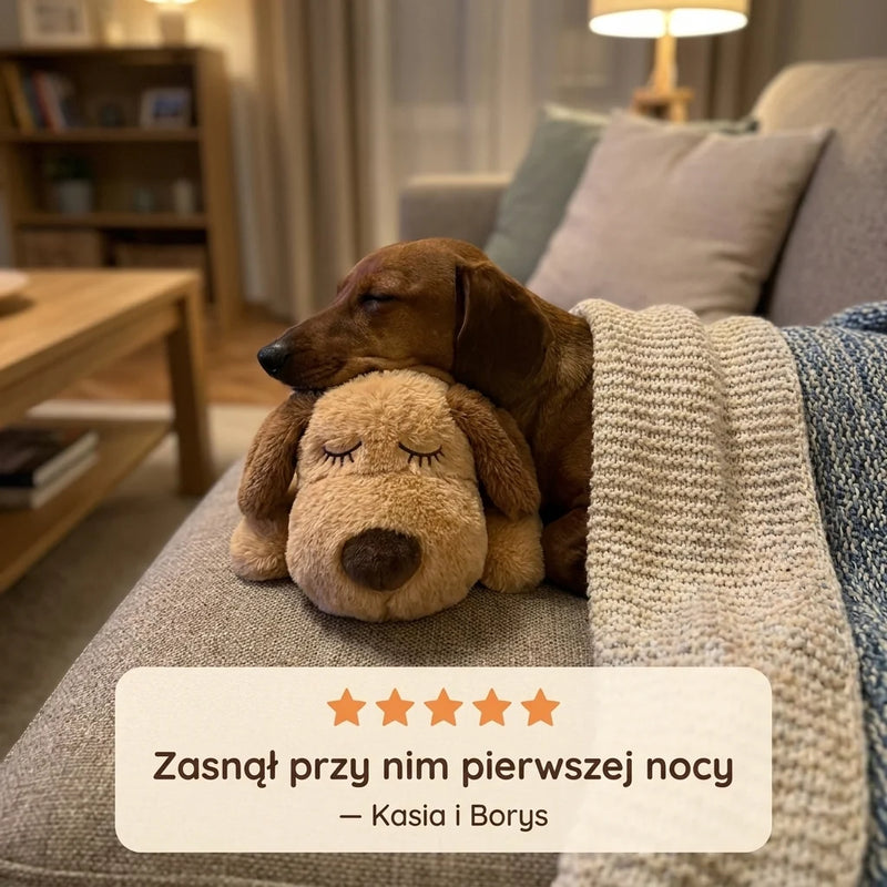 Psi Przyjaciel